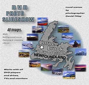 DVD