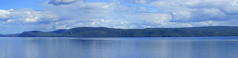 Springdale Dragon panoramic