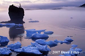 Nature - something to leave behind prints