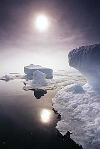 sea ice