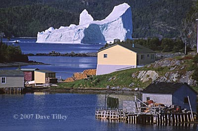 iceberg