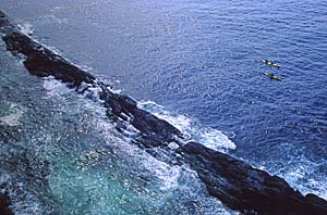 Kayaking around Quirpon island