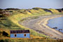 #32 Sand Dunes