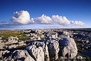 limestone boulders