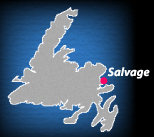 Salvage