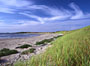 #33 Shoreline
