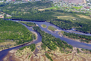 Indian River estuary