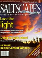 Saltscapes love the light