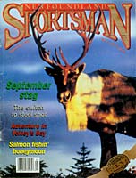 Sportsman September stag