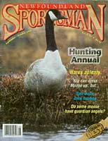 Sportsman Canada goose