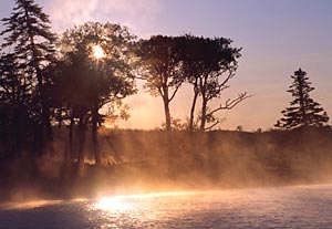 Morning mist on Lloyd River