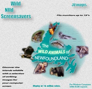 wildlife cd